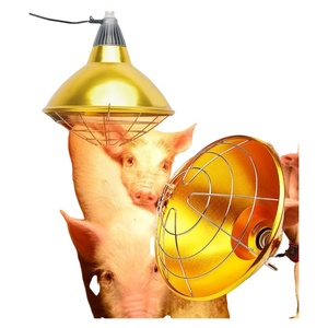 Lámpara <span class=keywords><strong>de</strong></span> Calor para Aves <span class=keywords><strong>de</strong></span> Corral, Cerdos y Ovejas, Marcos <span class=keywords><strong>de</strong></span> Aluminio para Lámparas con Interruptor, Portalámparas Impermeable, Equipo <span class=keywords><strong>de</strong></span> Ganadería - Product Image 2