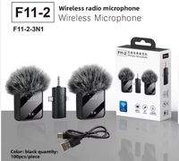 Vente directe d'usine - Microphone sans fil portable F11-2 à double micro avec suppression du bruit, sur mesure