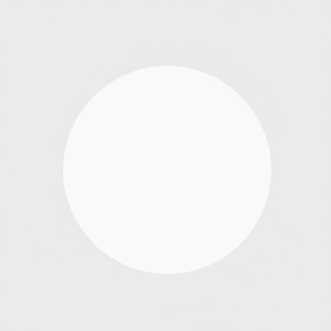 Papiers filtres PTFE de qualité supérieure 0.03-5.0um Compatibilité chimique Membrane En Fibre Creuse Hydrophobe En PTFE - Product Image 1