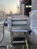 Laveuse de canne à sucre en acier inoxydable / Machine automatique de nettoyage et de pelage de canne à sucre pour usine de jus