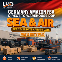 Expédition Amazon FBA DDP Allemagne, Transitaire maritime, Société de logistique, Service de consolidation de transport, Entrepôt, Conteneur
