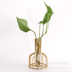 Transparent Glass Pothos Hydroponic Vase Geometric Metal Frame Desktop Plant Decoration For Living Room Or Office - Product Image 1