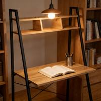 Bureau d'ordinateur minimaliste et peu encombrant, bureau moderne avec cadre en métal, table de travail avec étagère pour la maison, le bureau ou l'utilisation d'un ordinateur portable