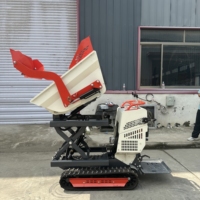 Prix d'usine Mini Track Dumper Peut être soulevé et abaissé Mini camion à benne basculante hydraulique Vente en gros Personnaliser Mini Dumper 500 kg