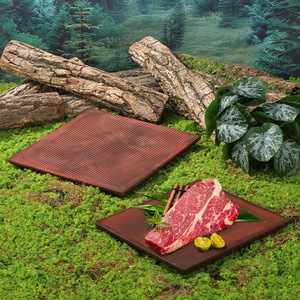 Plateau créatif pour bœuf Wagyu, carré ou rectangulaire, style japonais, pour barbecue, hot pot, vaisselle de table, service de café et de thé pour hôtel - Product Image 4