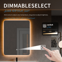 2025 Tendance Style Moderne Rectangle LED Miroir De Bain Miroir De Salle De Bains Mural Led avec Lumières Intelligentes Fonction Illuminée