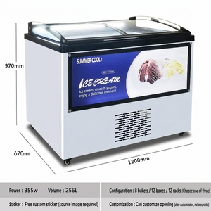 Congélateur de présentation YINZHENG pour desserts, glaces et bâtonnets glacés, 12 bacs de <span class=keywords><strong>1</strong></span>/4, équipement de réfrigération commercial à faible coût pour magasins de détail - Product Image 2
