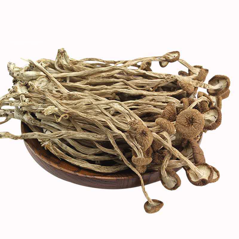 CHA SHU GU дикий натуральный столбчатый агроц, мягкий Тополевый гриб, столбчатый агрогриб для продажи