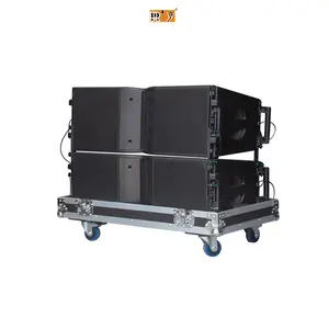 RIY-208 Dual 8-Zoll-Lautsprecher mit Neodym-Magnets ystem Professional Sound Line Array-Lautsprecher