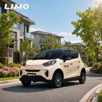 Voiture électrique à 4 roues fabriquée en Chine, intérieur luxueux, véhicule à énergie nouvelle, véhicule électrique économique, petite voiture électrique