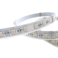 Bande lumineuse sous-marine pour piscine colorée DC12V/24V 5050 60LEDs 12mm 4 en 1 RGBW Epistar LED pour aménagement paysager