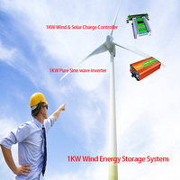Turbine à onde sinusoïdale Pure 1kw avec contrôleur de Charge éolienne, entrée v, onduleur pour énergie alternative