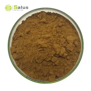 Salus אספקת תחנוק Deserticola תמצית 10% 98% Verbascoside