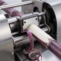 Lame de machine à éplucher la canne à sucre automatique commerciale en acier allié haute résistance usinée CNC, couteau éplucheur, garantie de 3 mois