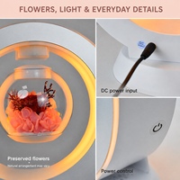 Ensemble cadeau lampe à fleurs stabilisées en lévitation avec haut-parleur Bluetooth en option et sac cadeau