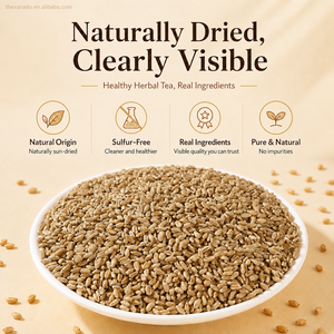 Chá de Ervas Secas de Trigo Flutuante Natural (Fructus Tritici Levis) - Fornecimento a Granel de Matéria-Prima Herbal Chinesa - Product Image 2