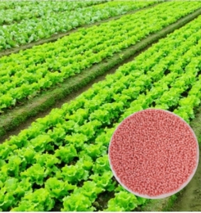 NPK ปุ๋ยไนเตรตปุ๋ยผสมโพแทสเซียม - Product Image 1