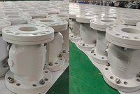 VF 40-200 Vanne à pincement pneumatique de qualité supérieure pour une isolation précise des médias dans les systèmes industriels