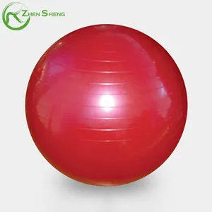 ZHENSHENG Exercise Equipment For Office Home Gym Yoga Ball