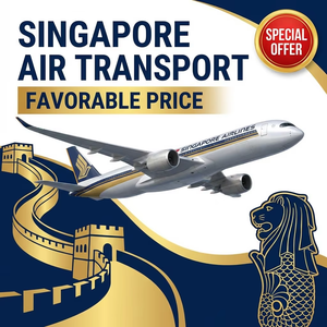 Agencia <span class=keywords><strong>de</strong></span> Transporte Marítimo China-Singapur - Servicios <span class=keywords><strong>de</strong></span> Transporte Aéreo a Precios Favorables - Product Image 1
