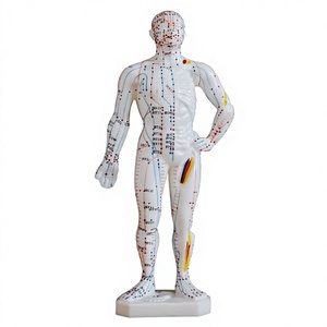 Modello Anatomico del Meridiano per Agopuntura - Modello di Agopuntura <span class=keywords><strong>26</strong></span> <span class=keywords><strong>Centimetri</strong></span> - Product Image 4