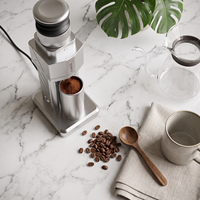 Moulin à café électrique BOSCO, acier inoxydable, meules coniques 48 mm, boîtier en aluminium, capacité 25-30 g, 72 W, usage domestique pour expresso et café filtre