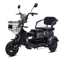 Tricycle électrique pour adultes, vélo électrique à trois roues, tricycle électrique avec panier, tricycle électrique pour personnes âgées