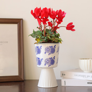 Ceramic retro distressed fleshy flowerpot simple blue and <b>white</b> porcelain green plant flower <b>pot</b> green plant <b>pot</b> ornaments vase - Product Image 4