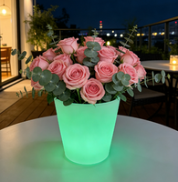 Vase/Pot de fleurs lumineux à LED RGB pour jardin et décoration extérieure, indice de protection IP65, 16 couleurs, éclairage LED pour pot de fleurs