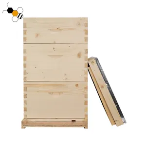 Nuovo tipo durevole beehive box Langstroth beehive per attrezzature per l'apicoltura in vendita