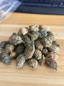 Hoang Dã mướp đắng toàn bộ Momordica Charantia L. Var. Viết Tắt seringe trái cây sấy khô để bán - Product Image 5