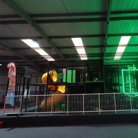 Parc de jeux familial vibrant avec éclairage LED, aire de jeux intérieure adaptée aux tout-petits par Cheer Amusement