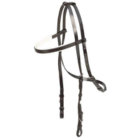Bride de course équitation en PVC coloré et Durable, équipement de luxe, bride de cheval de Style occidental avec embout métallique