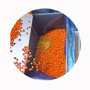 XMSD Argousier congelé, soigneusement traité pour préserver les nutriments, idéal pour les importateurs ayant besoin de produits certifiés - Product Image 4