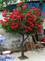 Ornement de centre de table de mariage, arbre en soie artificielle, arbre de fleurs de phénix, grand arbre