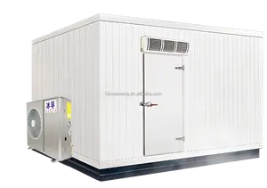 XueXiang Brand Walk In Freezer Cold Storage Room 40cbm 12tons Insulated Doors Cold Room With Energy Saving For Fish Storage