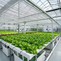 Filet d'ombrage tricoté en HDPE vierge haute densité pour serres et jardins, protection UV, rafraîchissement et protection solaire pour cultures