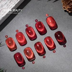 2022 New Hot Nail Art Supplies Oem Private Label 15ml Cateye Art Nail Soak Off Red Crystal Cateye Gel Nail Gel Polish