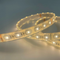 Bande lumineuse sous-marine pour piscine colorée DC12V/24V 5050 60LEDs 12mm 4 en 1 RGBW Epistar LED pour aménagement paysager