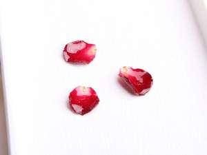 2020 جديد اليدوية الراتنج ريال روز زهرة سحر قلادة قلادة ريال الحاح زهرة المجوهرات المصنوعة مع الزهور الحقيقية - Product Image 5