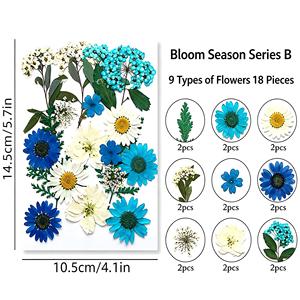 ชุดวัสดุกลีบดอกไม้แห้งสีขาวสำหรับงาน DIY งานฝีมือ ทำเครื่องประดับ ตกแต่งบ้าน และห่อของขวัญ - Product Image 2