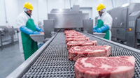 Ligne de production de kebab haute capacité, équipement de production en série pour barbecue commercial, ligne complète de traitement des brochettes de bœuf