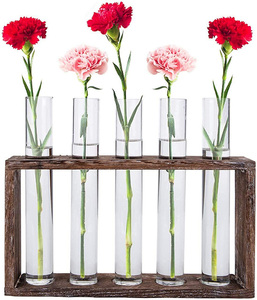 Dropship Wall Hanging/Dock Glass Test Tube Planter Propagation Station Cylinder Vase Rack Wood <b>Stand</b> Terrarium Garden - Product Image 3