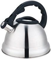 Bouilloire sifflante en acier inoxydable de 3 litres pour cuisinière, avec eau, pour la maison ou le camping, écologique, passe au lave-vaisselle