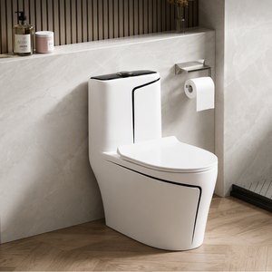 WC in Ceramica Sifonica Colorata Stile Europeo di Lusso Leggero per Bagno Moderno - Product Image 1