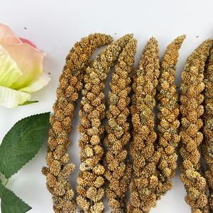 Spray de <span class=keywords><strong>millet</strong></span> jaune pour l'alimentation des <span class=keywords><strong>oiseaux</strong></span> 10-12 pouces 6-8 pouces, carton de 15kg - Product Image 1