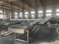 Commerciële Automatische Bonenspruitverwerkingsmachine Mung Bean Spruitreinigingsapparatuur Voor Het Ontkiemen Van Bonen