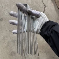 Clous à gazon et agrafes de paysagisme en acier en U à tige lisse, galvanisés argentés pour usage extérieur