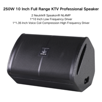 Altavoz Profesional de Rango Completo RM810 de 250W y 10 Pulgadas para DJs, Bares, Salas de Fiestas y Discotecas