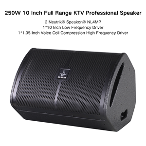 Rm810 250W 10 Inch Đầy Đủ Phạm Vi Chuyên Nghiệp Loa Cho Dj Thanh Bên Phòng Câu Lạc Bộ - Product Image 5